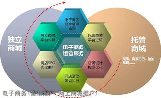 电子商务管理哪个专业好